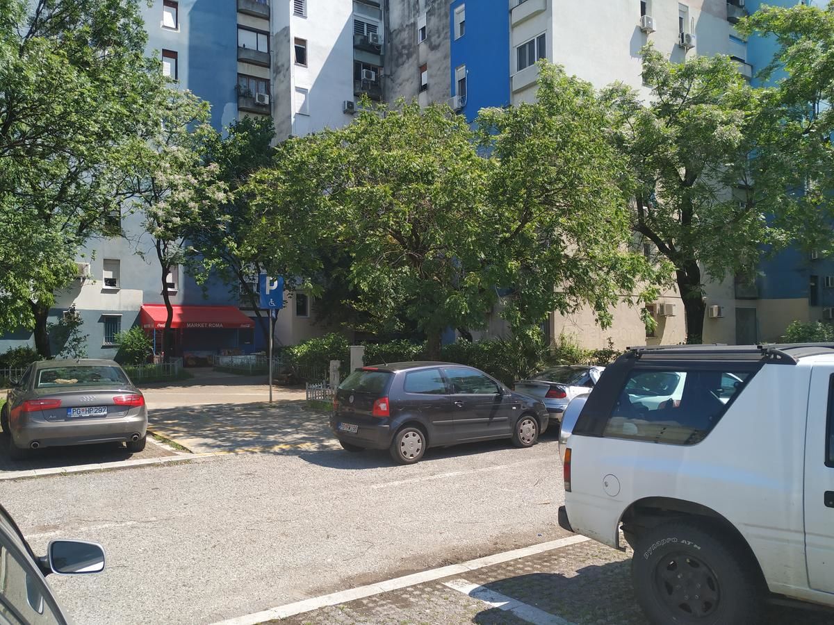 Апартаменты Apartment Dora Подгорица