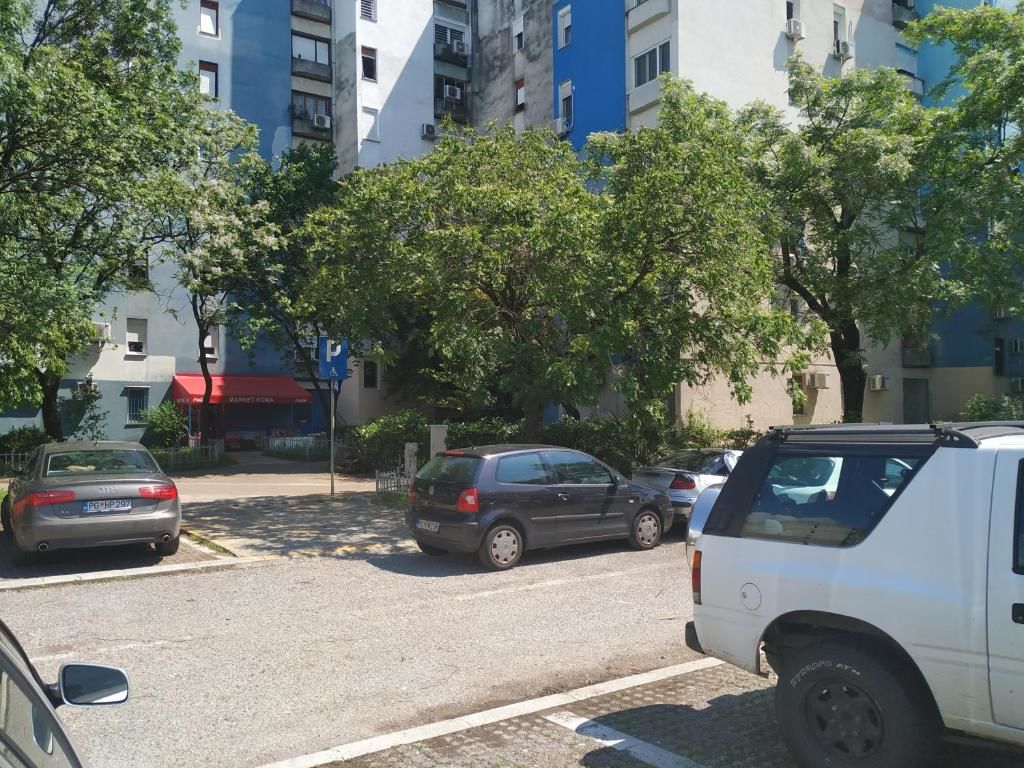 Апартаменты Apartment Dora Подгорица