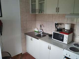 Апартаменты Apartment Dora Подгорица Апартаменты с 1 спальней-34