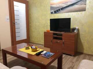 Апартаменты Apartment Dora Подгорица Апартаменты с 1 спальней-39